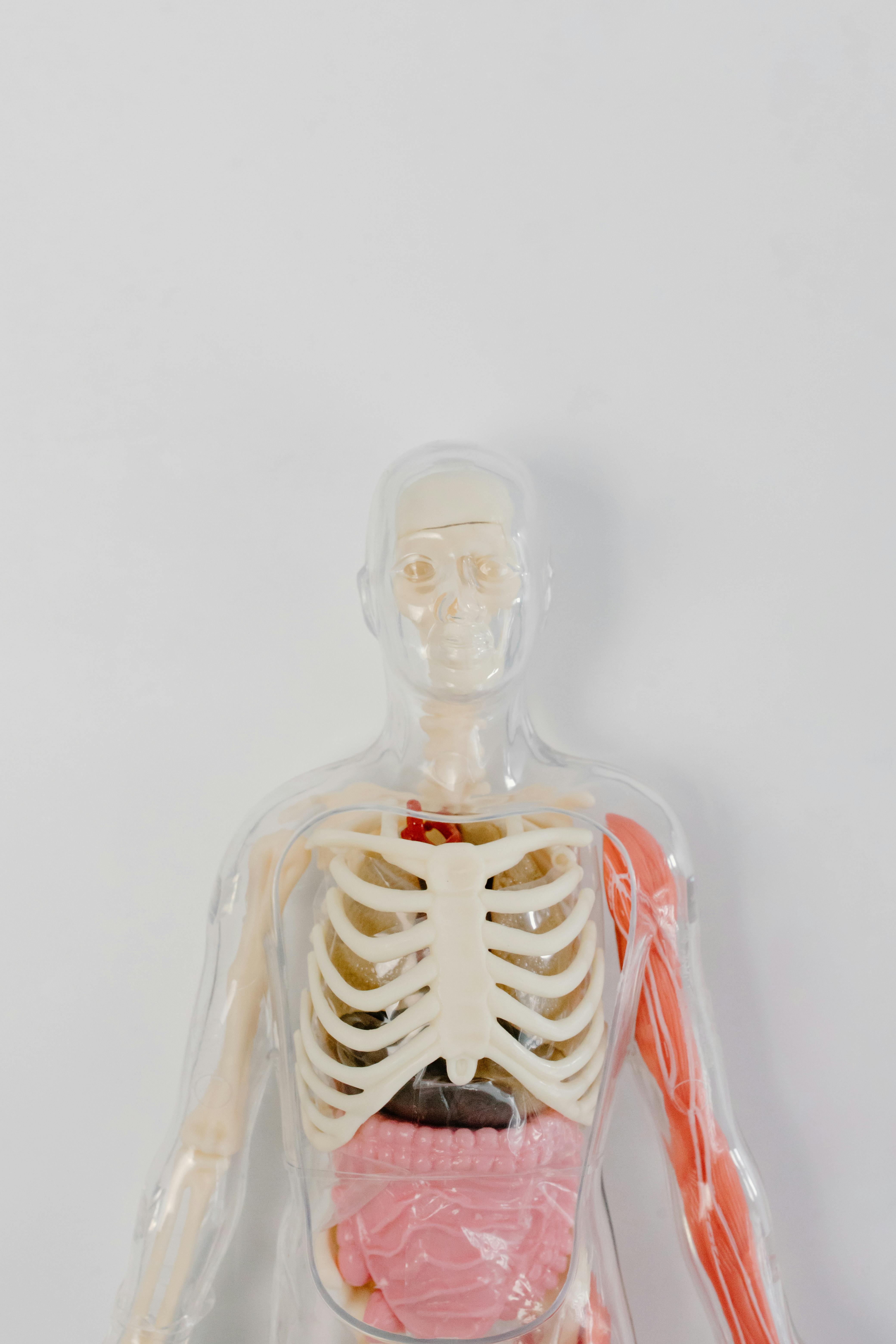 Medical Foundation Program